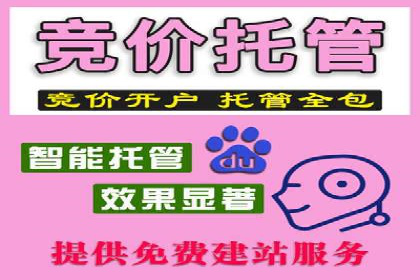 成功案例：SEM代运营服务公司助力企业腾飞